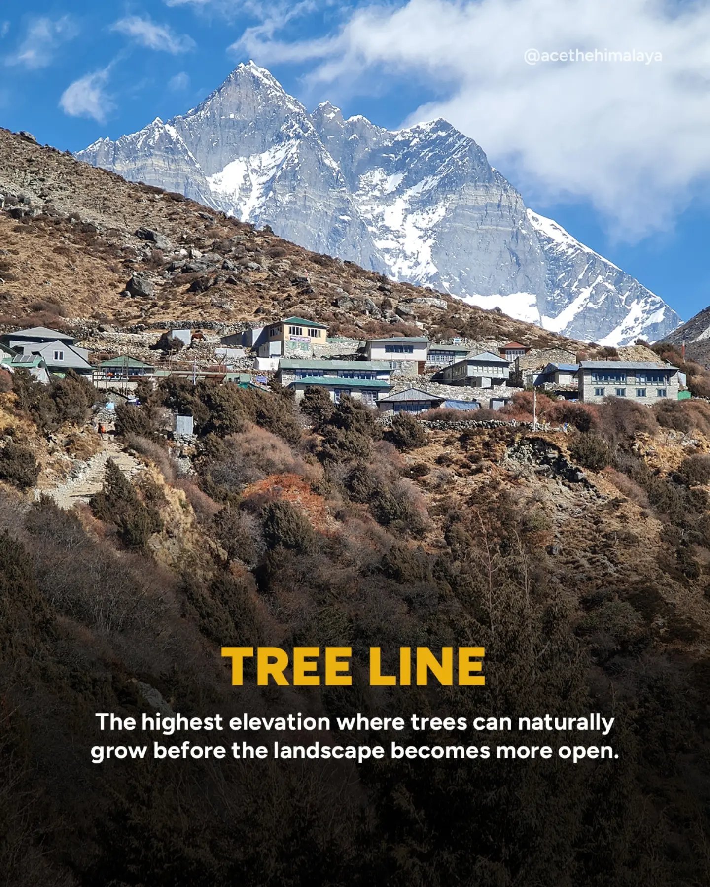 ภาพอธิบายคำว่า Tree line
